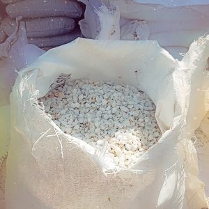 Terrazzo ¼ White Chips